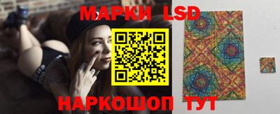 мдпв Новозыбков