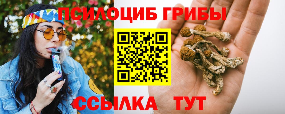 Галлюциногенные грибы Psilocybe Тула