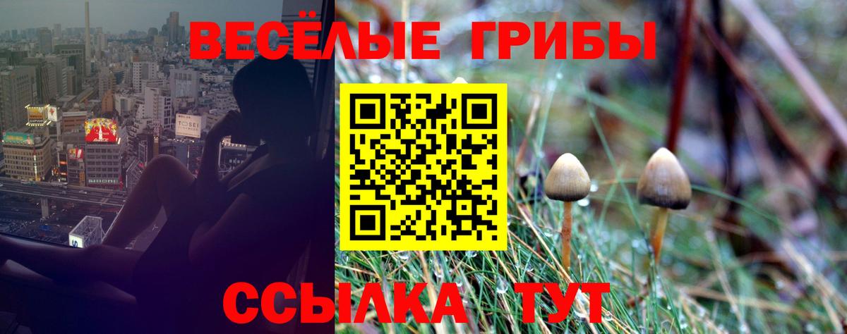 Тула  Вход с VPN  Канабис  КОКАИН  МЕФ   ГАШИШ 